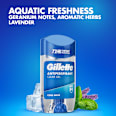 antiperspirant stick Cool Wave Gillette