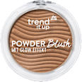 Powder Blush - Nr. 060 trend !t up