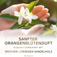 Flüssigseife Neroli & Sandelholz Nachfüllpack Palmolive