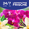 Weichspüler Vanille & Orchidee 45 WL Softlan