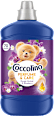 Öblítőkoncentrátum Perfume&Care Purple Orchid&Blueberry Coccolino