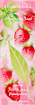 Toaletna voda Green Tea Strawberry Basil Elizabeth Arden