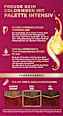 Intensiv-Creme-Coloration - Nr. 678 Rubinrot Palette Intensive Color Creme