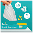 Vlhčené utierky Fresh clean - 4 x 80 Pampers