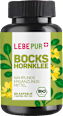 Bockshornklee Kapseln 60 St Lebepur