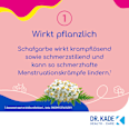 KadeZyklus bei Krämpfen bei Krämpfen während der  Menstruation 250mg Filmtabletten KadeZyklus