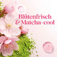 Antitranspirant Deo Roll-on sakura summer Matcha & Cherry Blossom Scent Dove