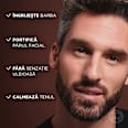 Ulei de îngrijire pentru barbă și ten L'ORÉAL PARiS MEN EXPERT
