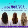 Shampoo Miracle Moist AUSSIE