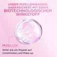 Mizellenwasser All-in-1 empfindliche Haut Garnier Skin Active
