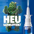 MometaHEXAL Heuschnupfenspray 60 Sprühstöße HEXAL