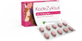 KadeZyklus bei Krämpfen bei Krämpfen während der  Menstruation 250mg Filmtabletten KadeZyklus