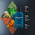 Absolute Blue Eau de Toilette CÂLINE