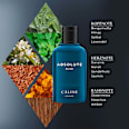 Absolute Blue Eau de Toilette CÂLINE