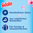Glasreiniger Kirschblüte  Sidolin