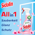 Glasreiniger Kirschblüte  Sidolin