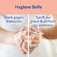Schaumseife Samt Sagrotan
