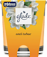 Dišeča sveča Anti Tabac glade