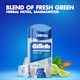 antiperspirant gel stick Artic Ice Gillette