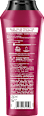 Farbglanzshampoo Color Perfector Schwarzkopf GLISS
