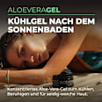 After Sun Gel mit Aloe Vera Byrokko