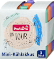 Mini-Kühlakkus on tour  Profissimo