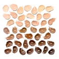 FOUNDATION puder u stiku - 100 essence