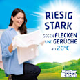 Vollwaschmittel Megaperls stark gegen Flecken Weißer Riese