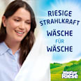 Vollwaschmittel Megaperls stark gegen Flecken Weißer Riese