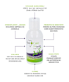 Mundspülung Ora Lactin Liquid ApaCare