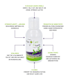 Mundspülung Ora Lactin Liquid ApaCare