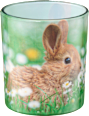 Sleeveglas sortiert Profissimo