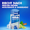 Antitranspirant Deostick Clear Gel Arctic Ice Gillette