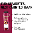 Farbglanzshampoo Color Perfector Schwarzkopf GLISS