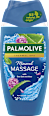 Душ гел Wellness Massage PALMOLIVE