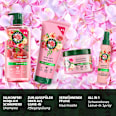 Shampoo Rose Herbal Essences