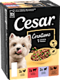 Nassfutter Hund Creations in Sauce, Mulitpack (12x100 g) Cesar