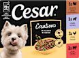 Nassfutter Hund Creations in Sauce, Mulitpack (12x100 g) Cesar