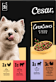Nassfutter Hund Creations in Sauce, Mulitpack (12x100 g) Cesar
