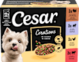 Nassfutter Hund Creations in Sauce, Mulitpack (12x100 g) Cesar