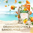 Flüssigseife Neroli- und Sandelholz Nachfüllpack Palmolive