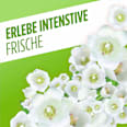 Allzweckreiniger Frühlingsblumen  AJAX