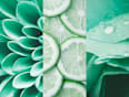 Deospray Fresh Lime 8x4 women