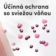 Antiperspirant v spreji Maximum Protection Invisible Rexona