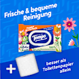 Feuchtes Toilettenpapier Family Maxi Pack  Tempo
