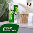 Zahnpasta F mit Fluorid Salviagalen