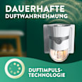 Lufterfrischer Duftstecker Solo-Gerät mit Duftimpuls AIR WICK