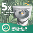 Lufterfrischer Duftstecker Solo-Gerät mit Duftimpuls AIR WICK