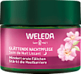 Nachtcreme glättend Wildrose & weißer Tee WELEDA