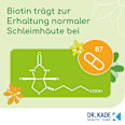KadeFlora Milchsäurebakterien mit Biotin Kapseln 30 St KadeFlora
